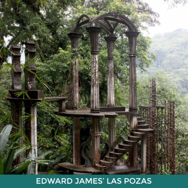 Edward James’ Las Pozas, A series of concrete pillars and stairs in a jungle setting. 